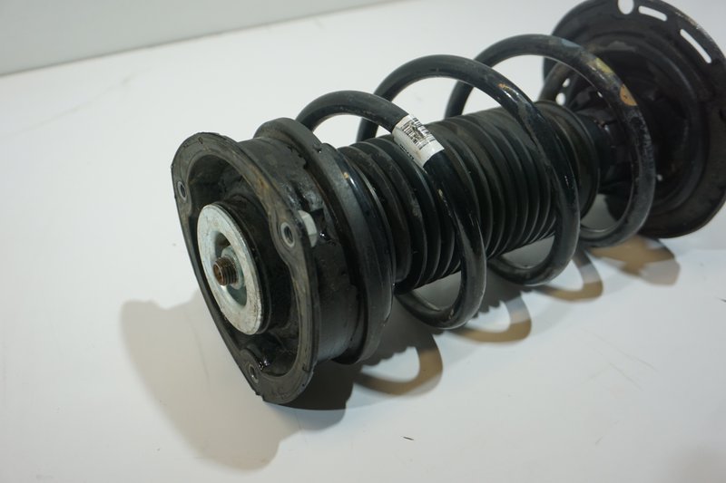 Miniatura 10