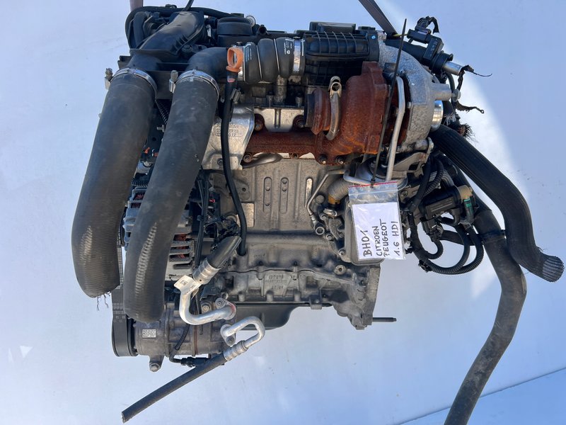 Miniatura 8