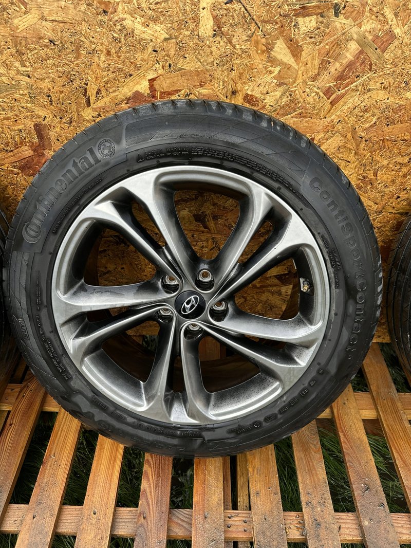 Miniatura 9