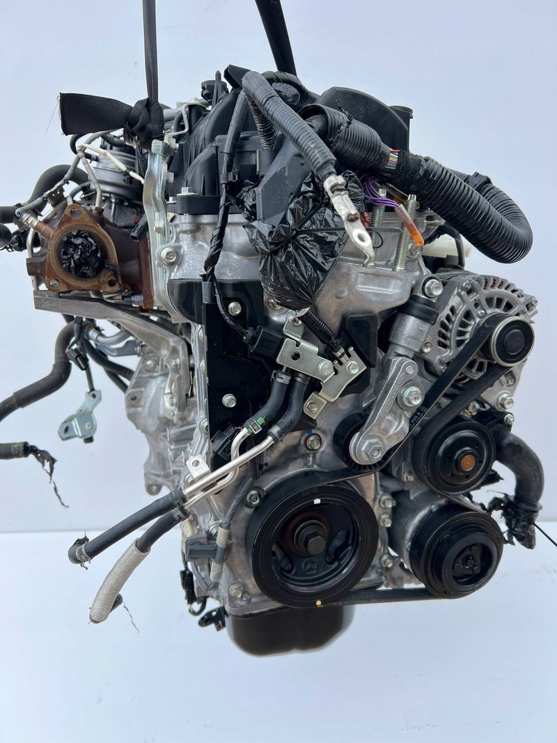 Miniatura 11