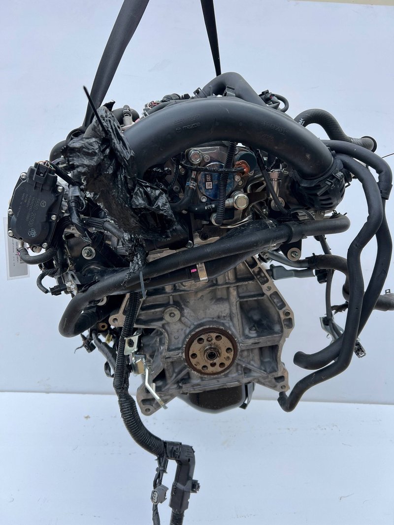 Miniatura 7